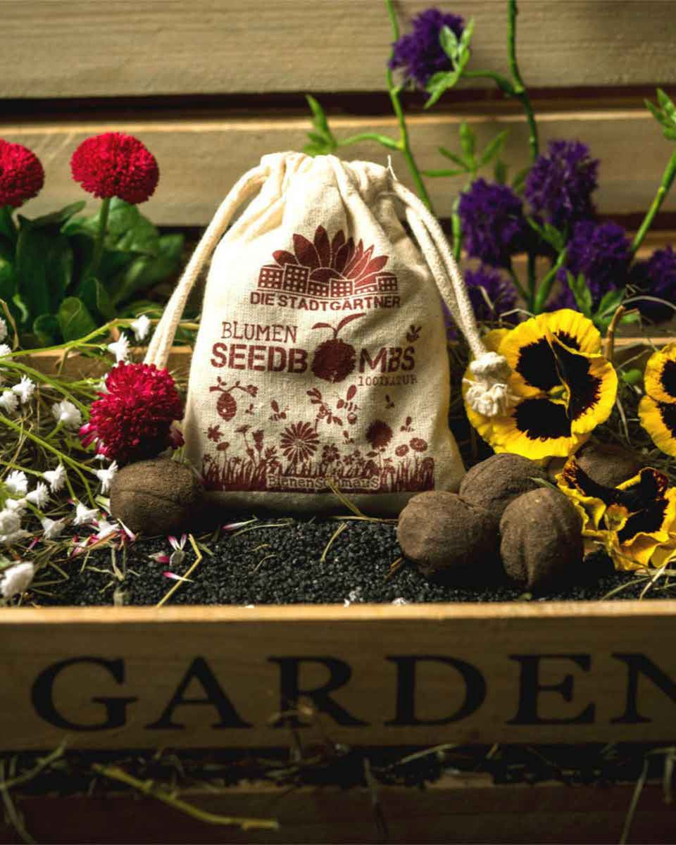 DSG-Samenbombe-Bienenschmaus-04