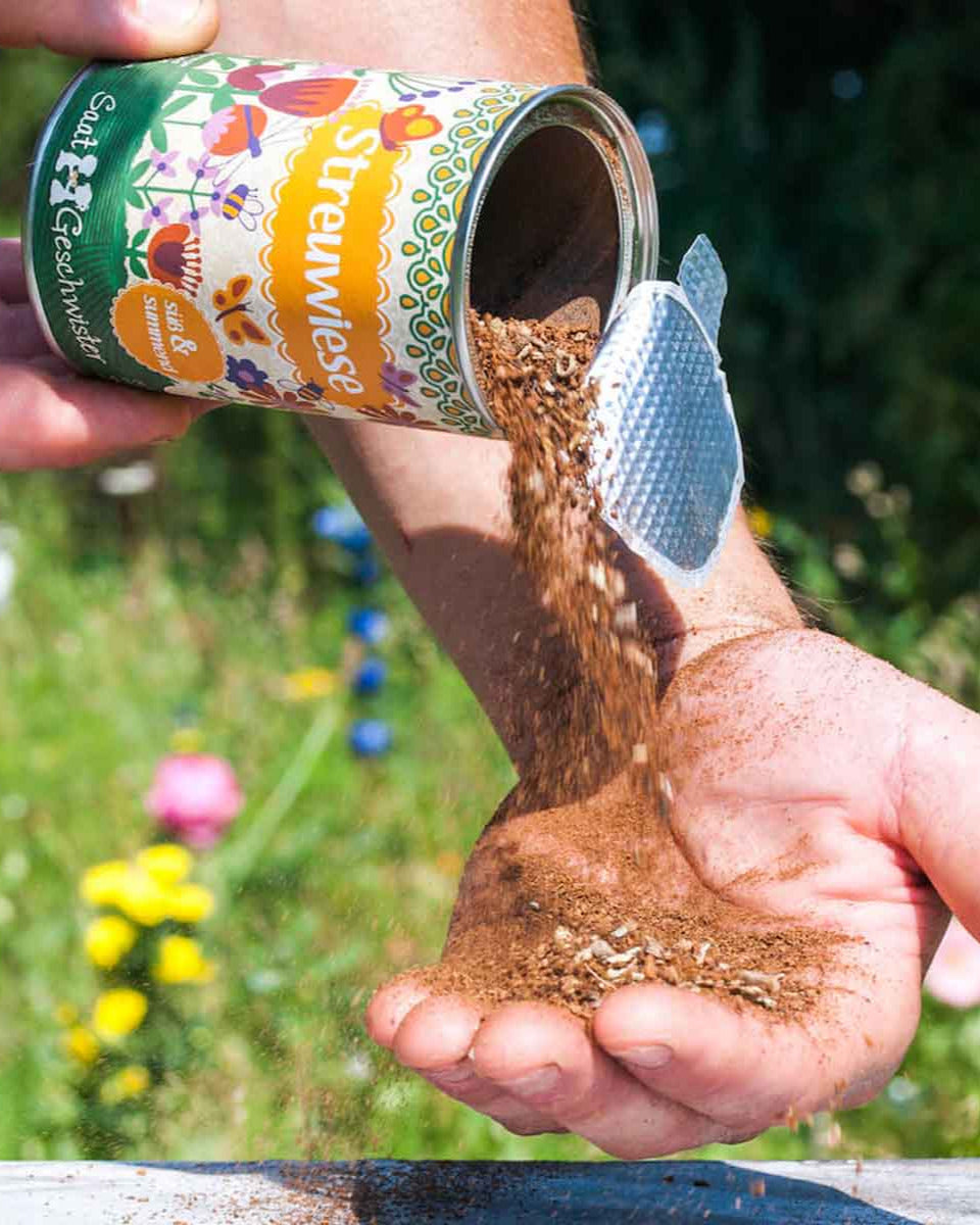 DSG-Streuwiesen-Sussundsummend-03