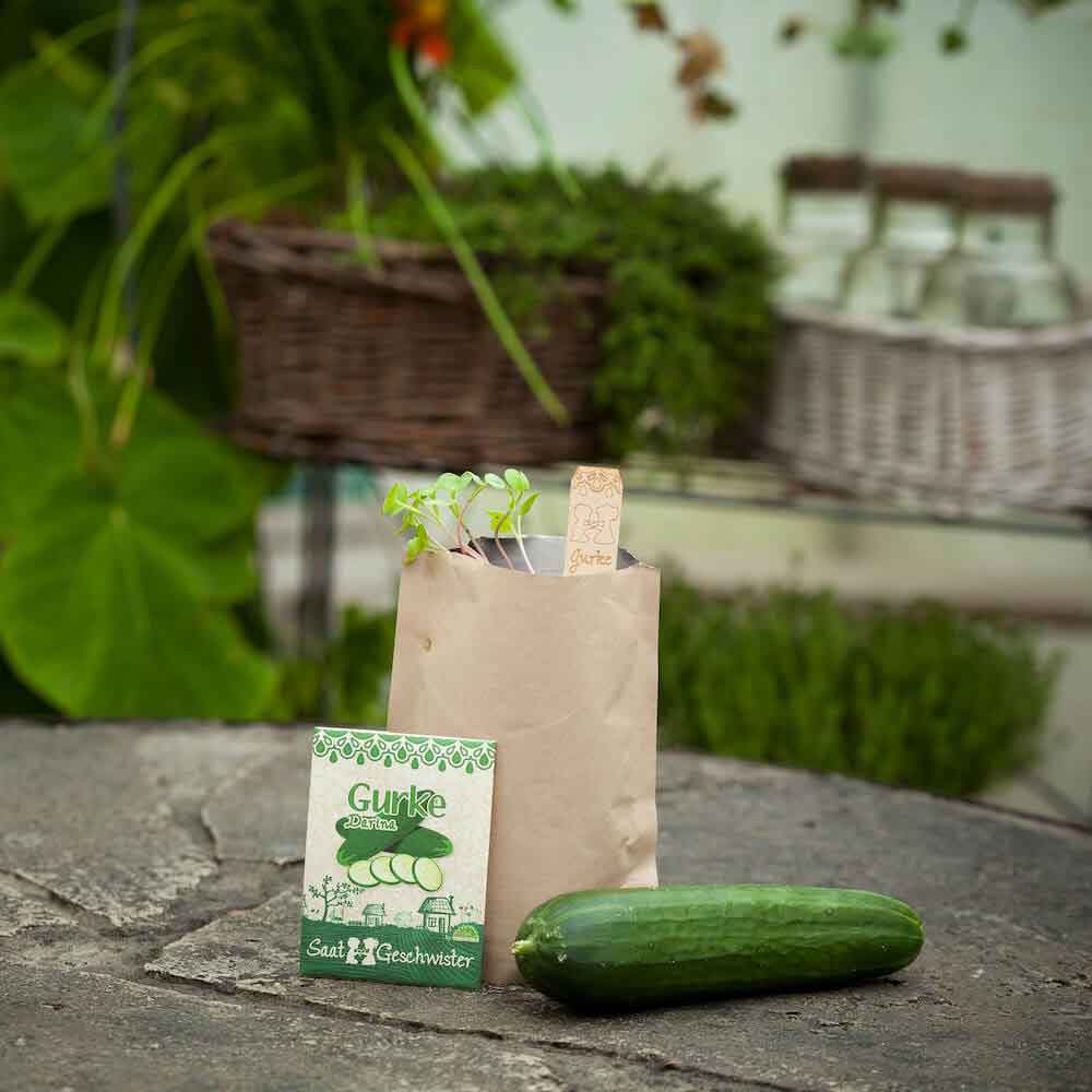 Gurke Minigarten Gemüse DIY Anzuchtset