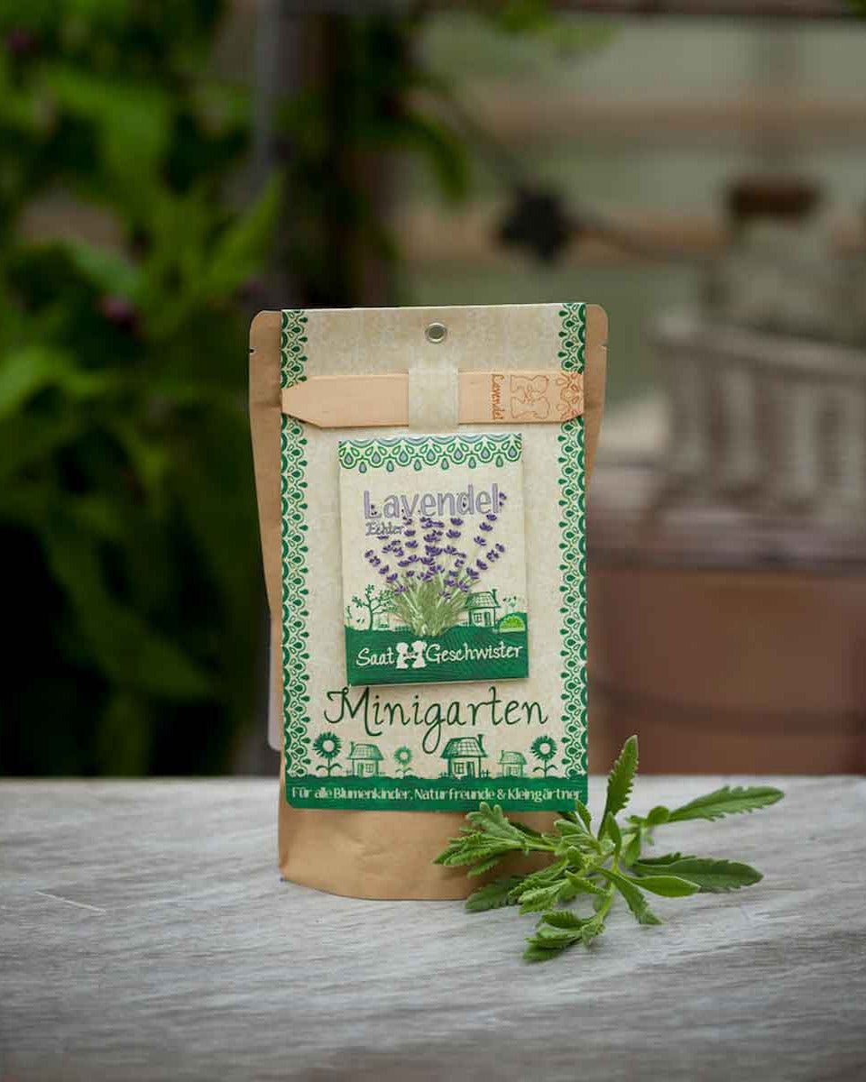 DSG-lavendel-Minigarten-093