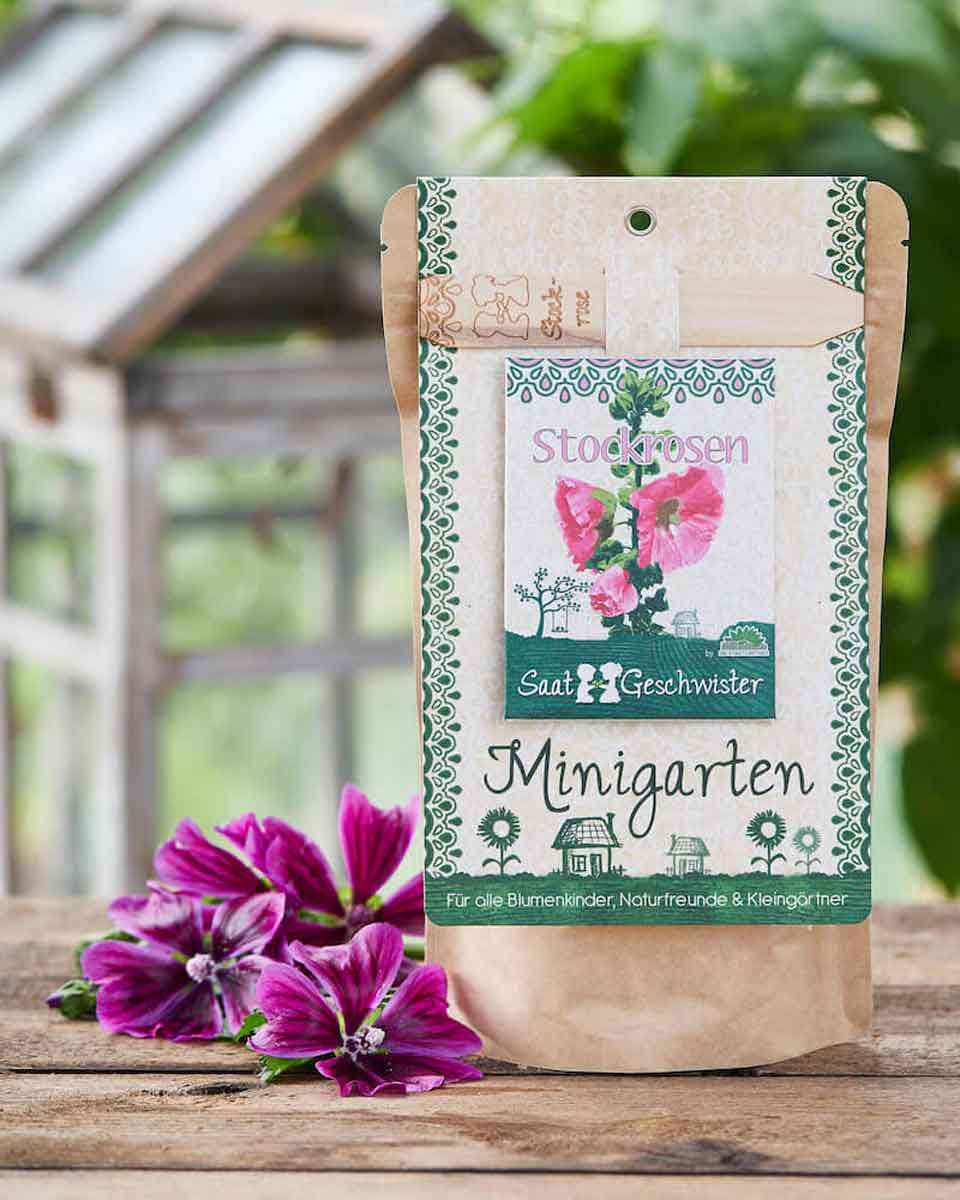 DSG-stockrose-Minigarten-03