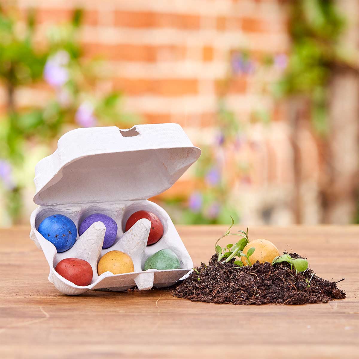 Osterblumen in Pappschachtel 6 Samenbomben