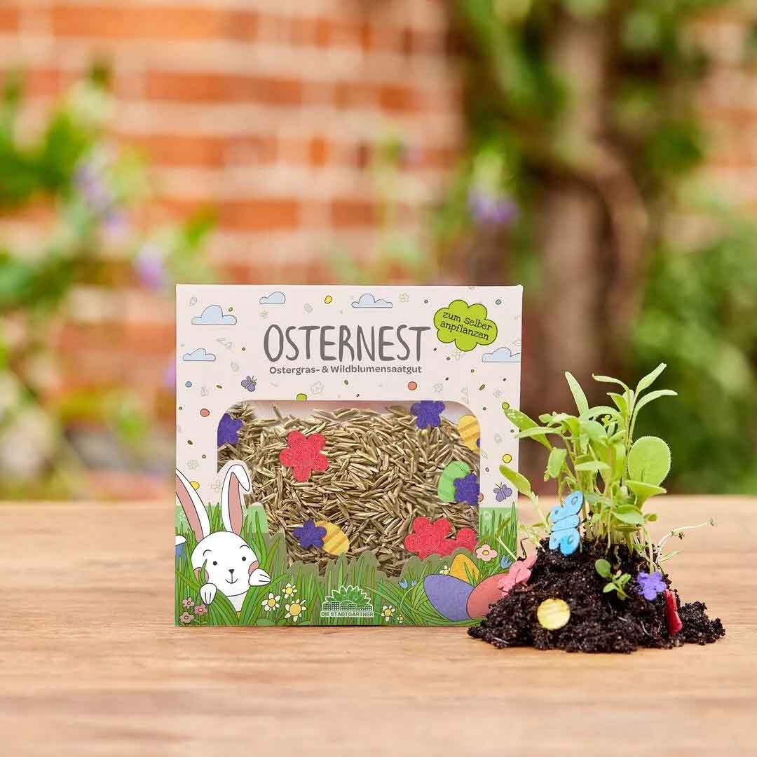 Ostergraskonfetti Saatgut Wildbllumen 5g