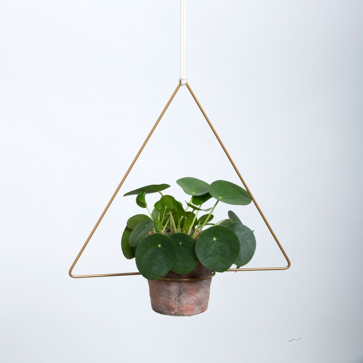 DraadZaken_planthanger_trigona_dreieck_gold_1