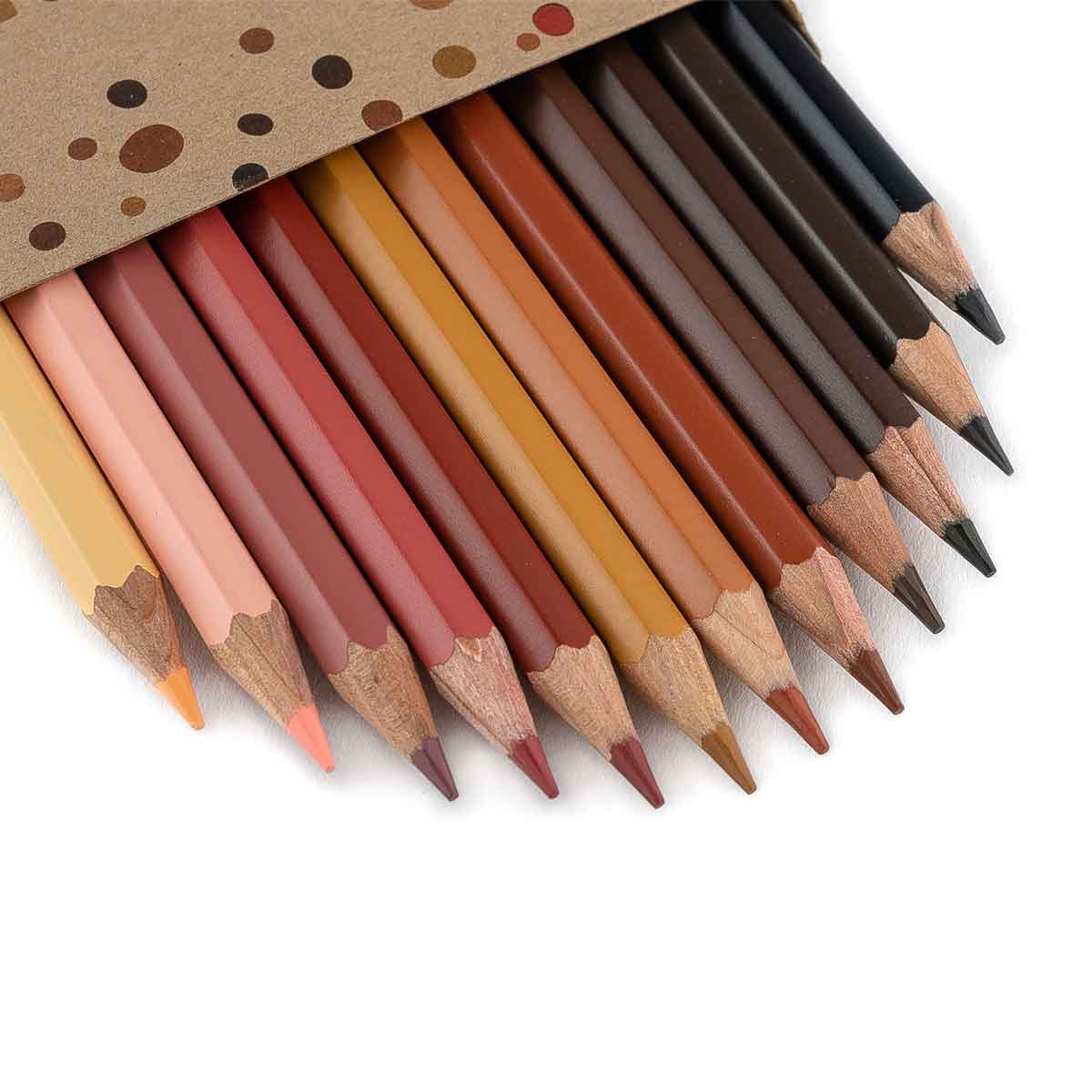 Hautfarben Buntstifte für alle Holz 12 Stück