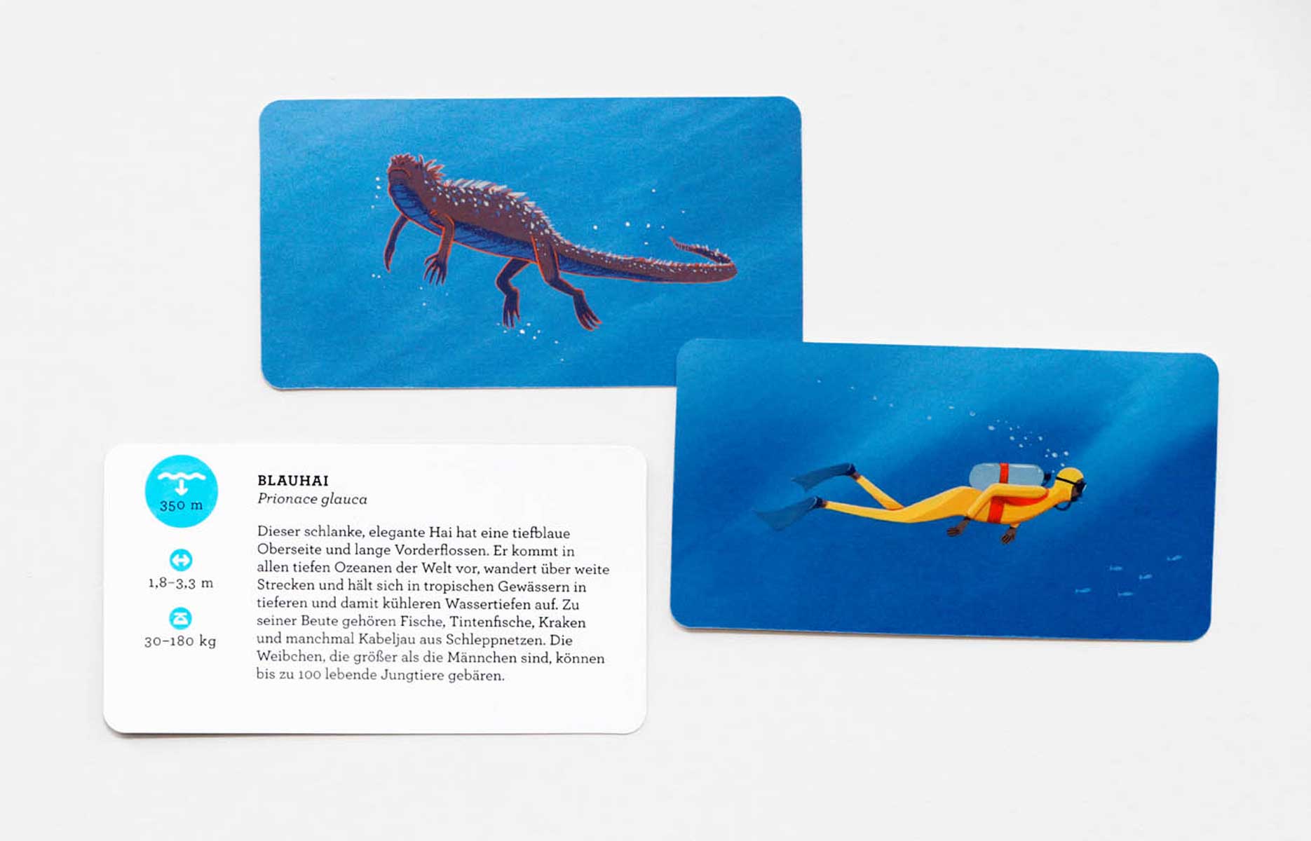 Kartenspiel Abenteuer Tiefsee ab 6 Jahren