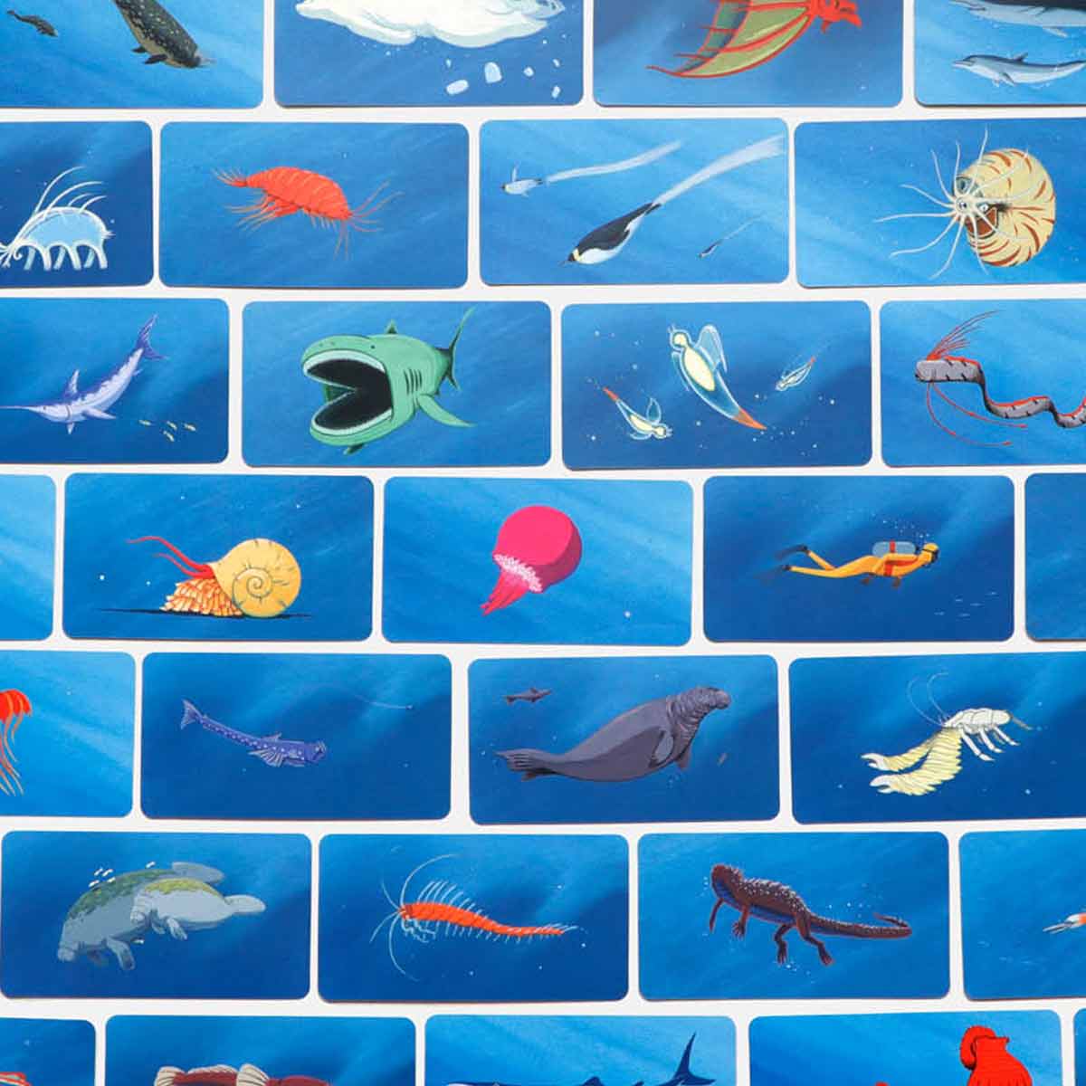 Kartenspiel Abenteuer Tiefsee ab 6 Jahren