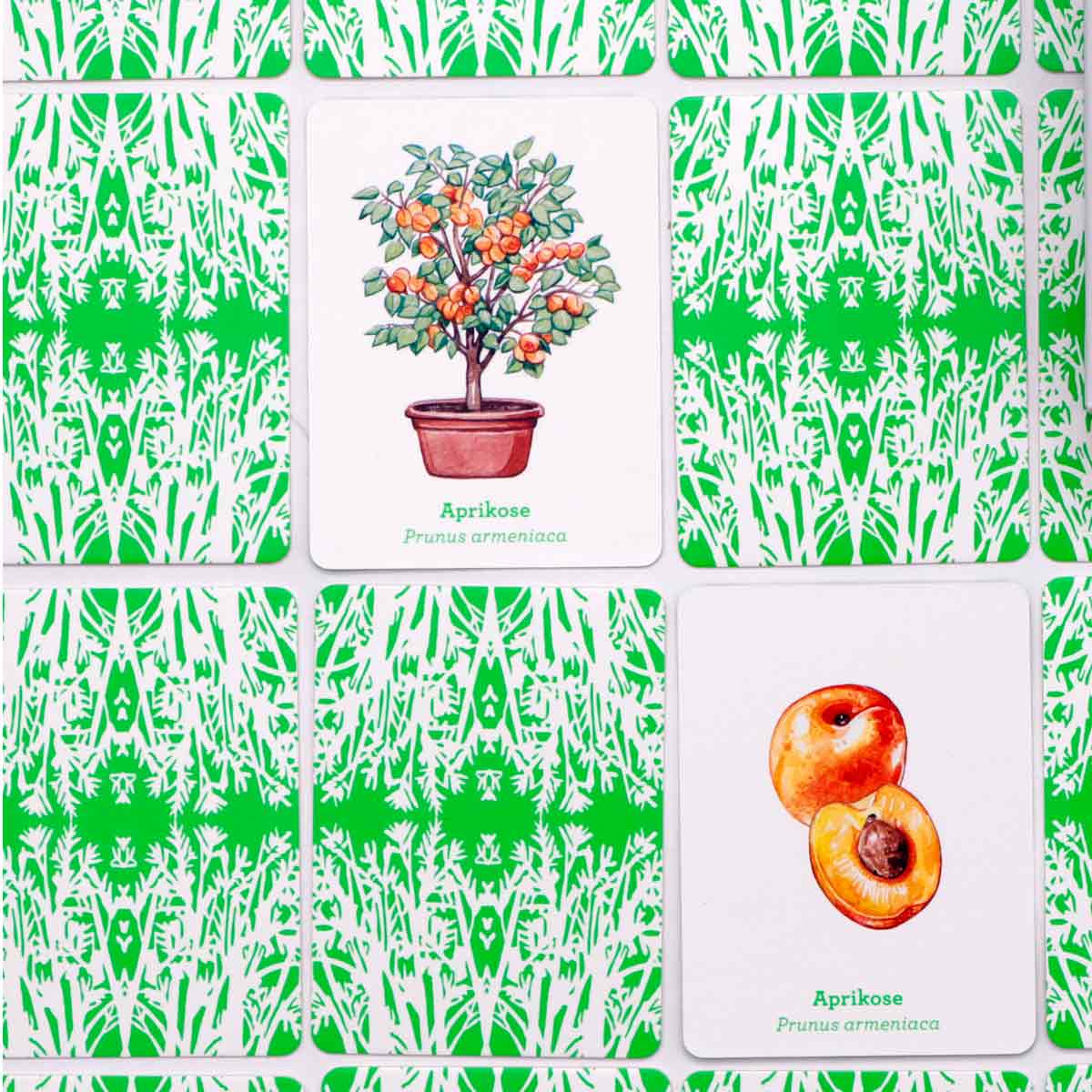 Garten Memo Spiel Obst & Gemüse ab 6 Jahren