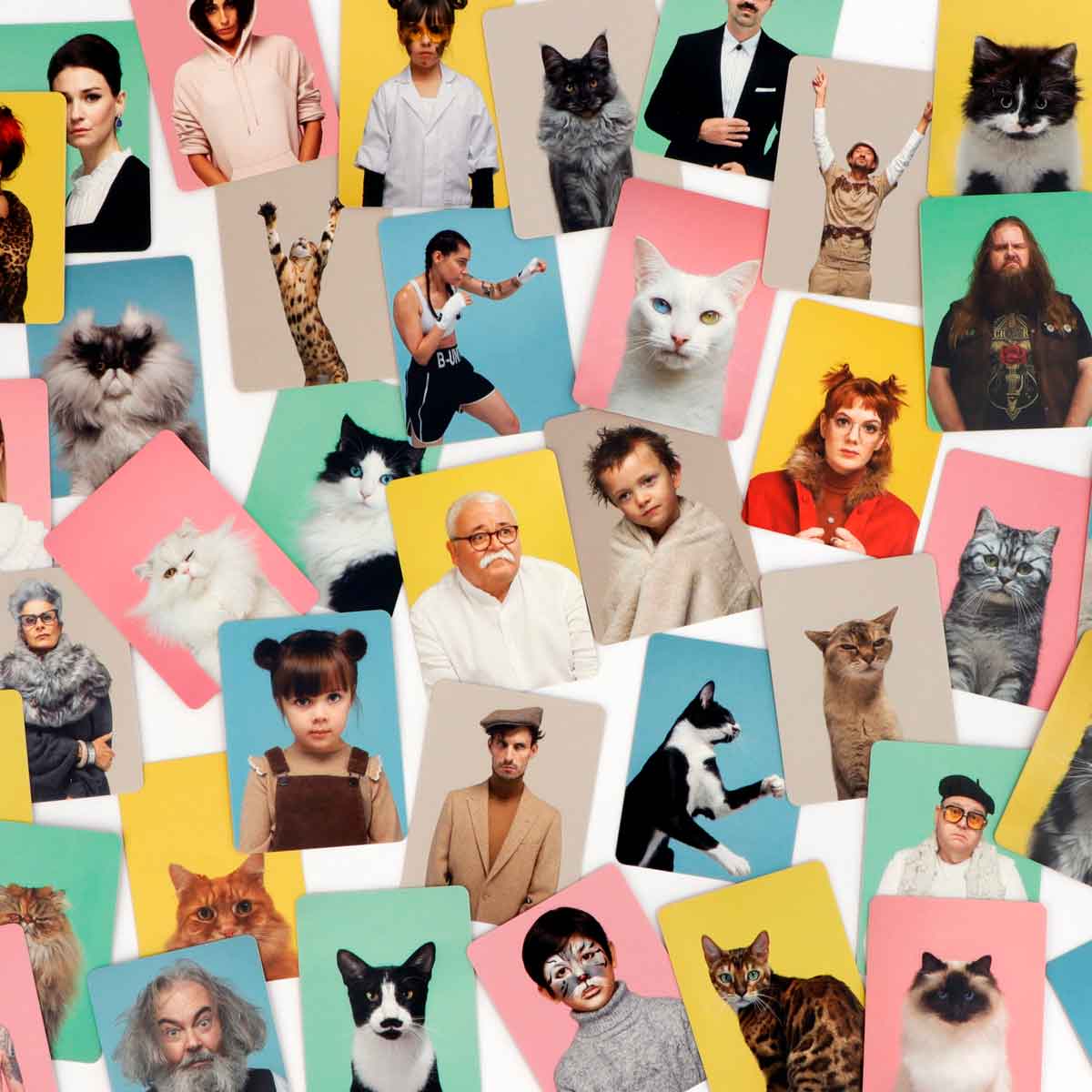 Tier Memo Spiel Siehst du aus wie deine Katze? ab 6 Jahren