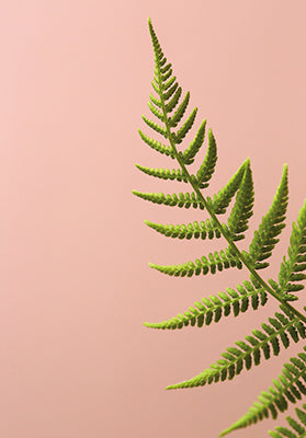 designhype_lagom_1379_grusskartel58246f8e9231a59ca737691c52