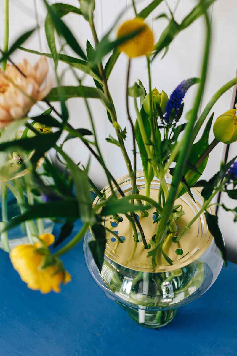 house-of-thol-flower_constellation_l_01