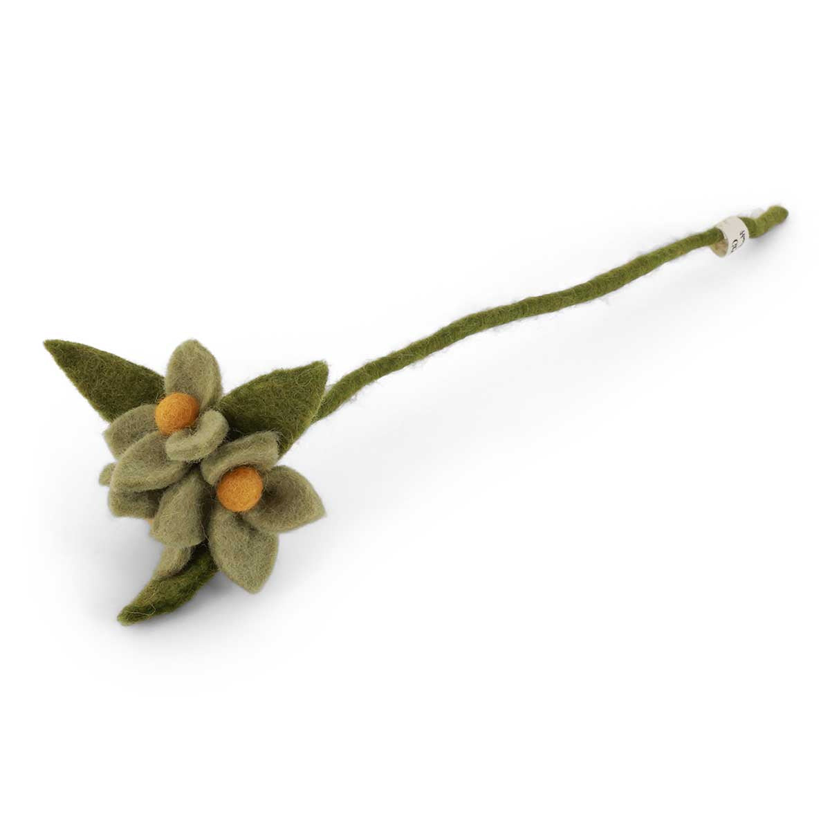 filzblume-blumenzweig-kleine-blüten-gry-sif-11835-gruen