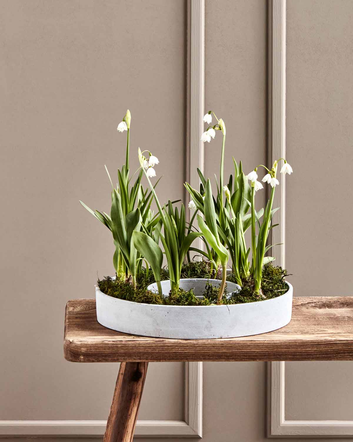 Dekoschale The Ring Beton Optik Grau 35 cm