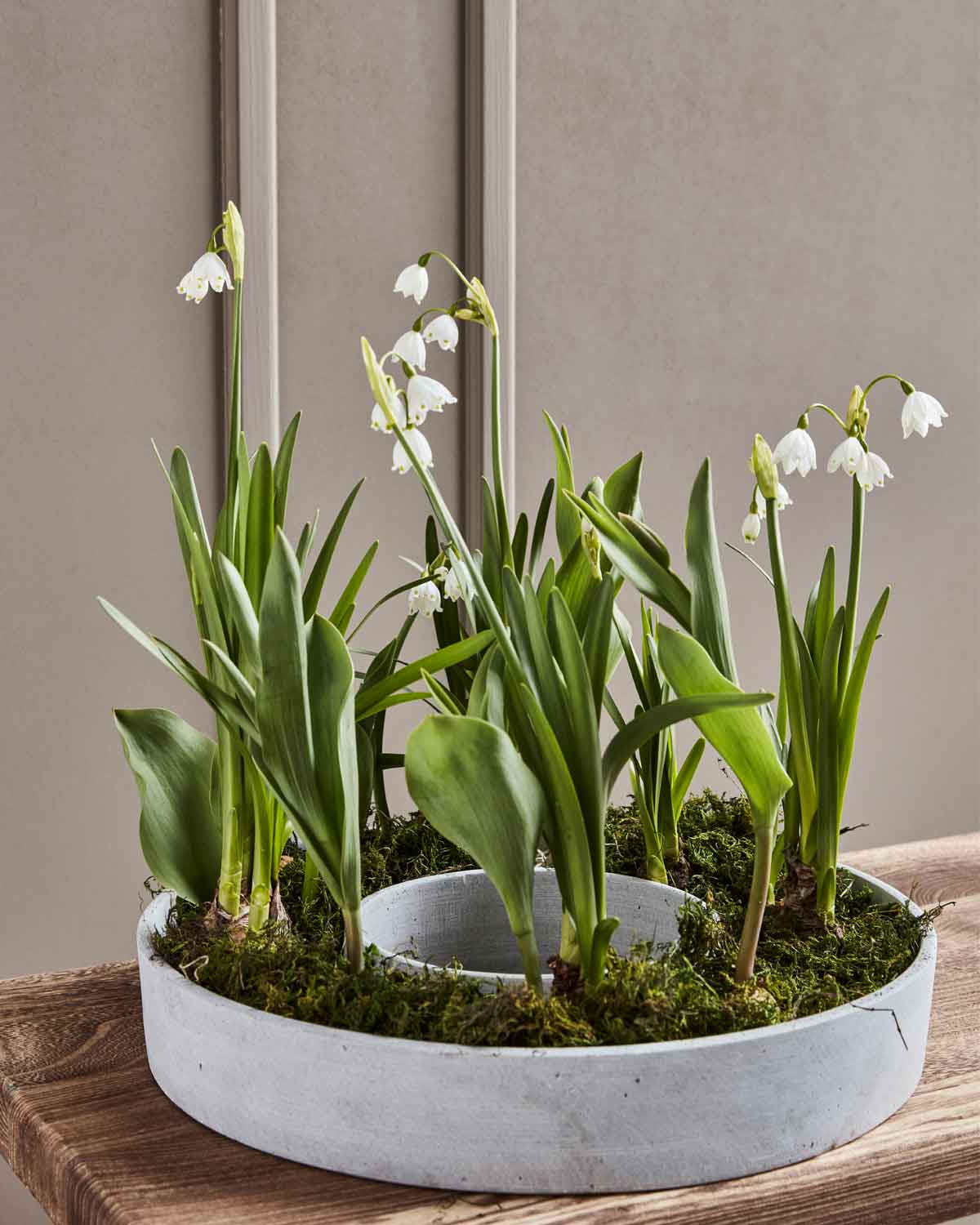 Dekoschale The Ring Beton Optik Grau 35 cm