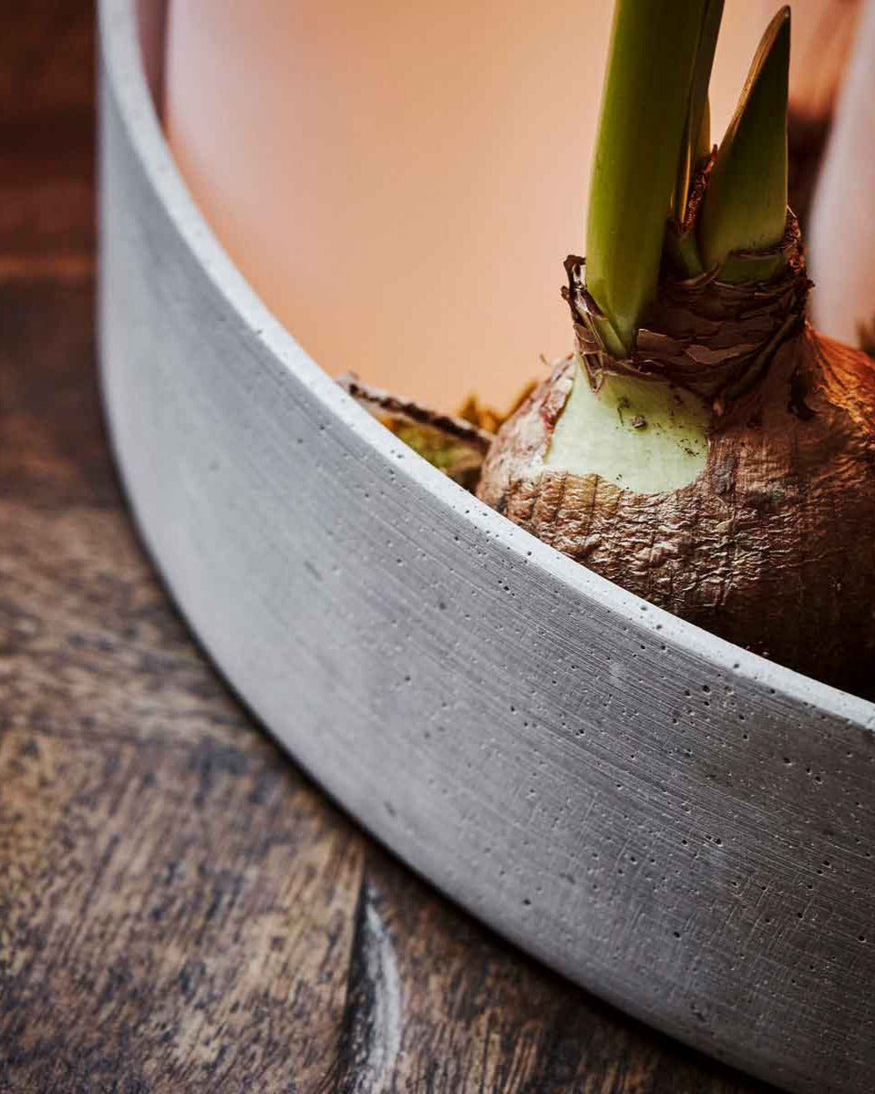 Dekoschale The Ring Beton Optik Grau 35 cm