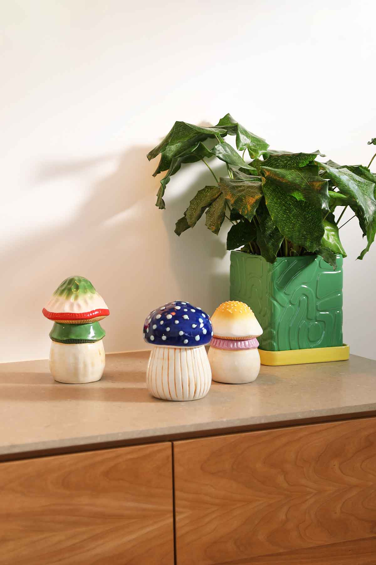 Pilz Aufbewahrungsdose Dolomit Grün 19,5 cm