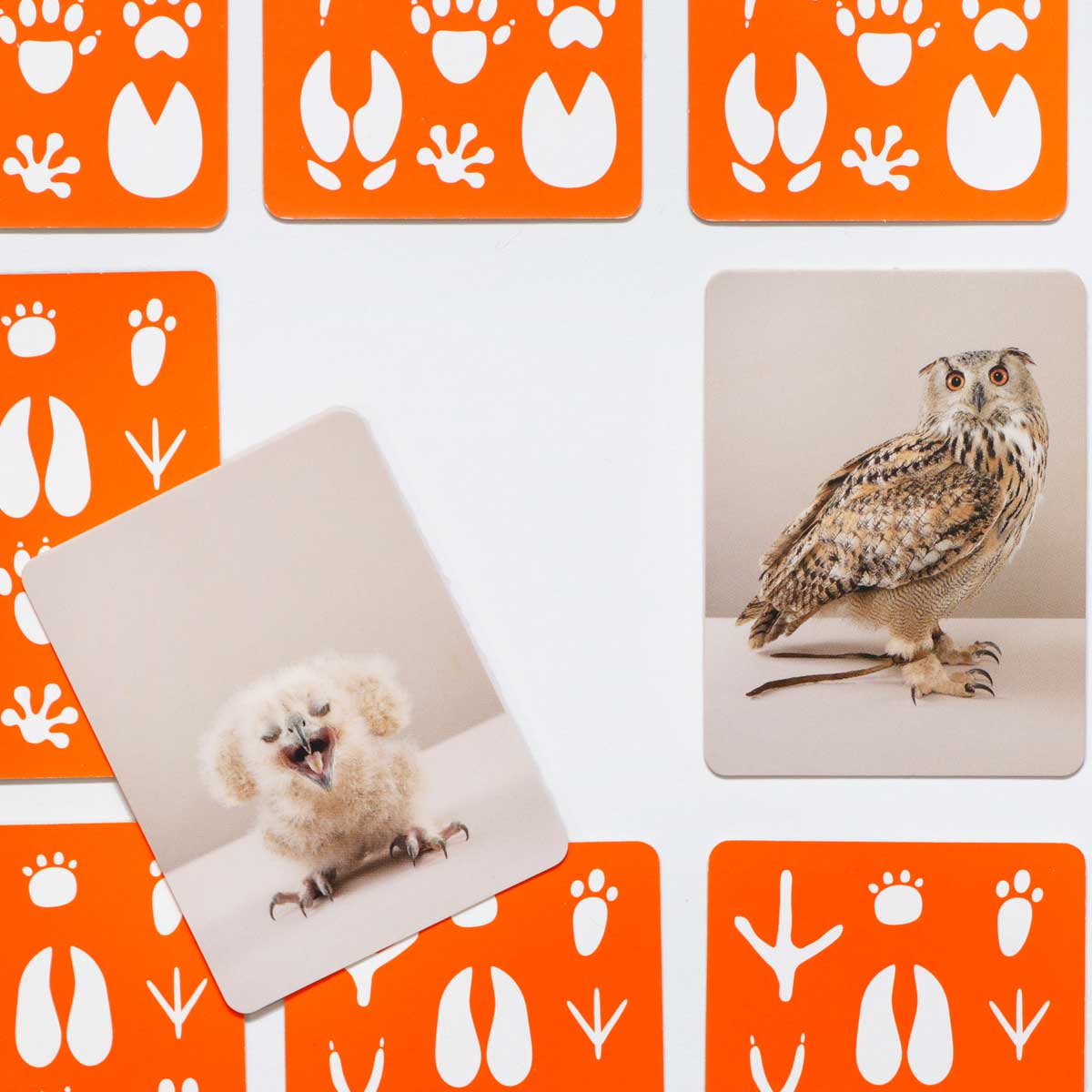 Tier-Baby Memo klein & groß Spiel ab 4 Jahren