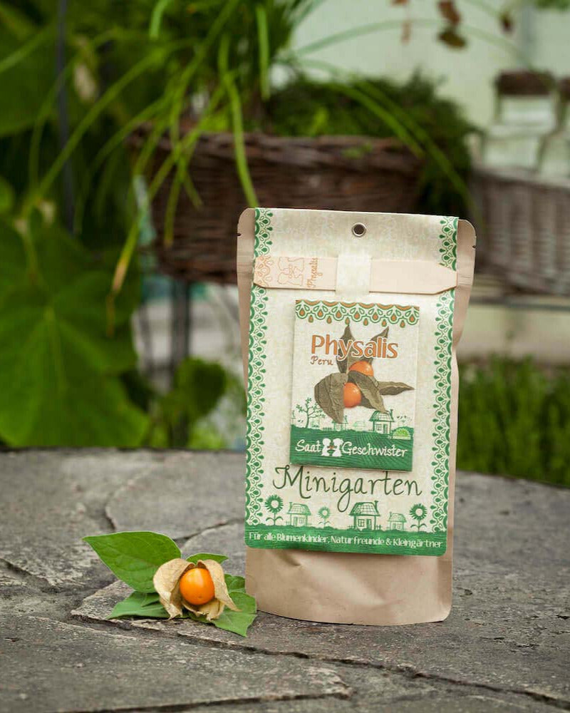 stadtgaertner_minigarten_physalis