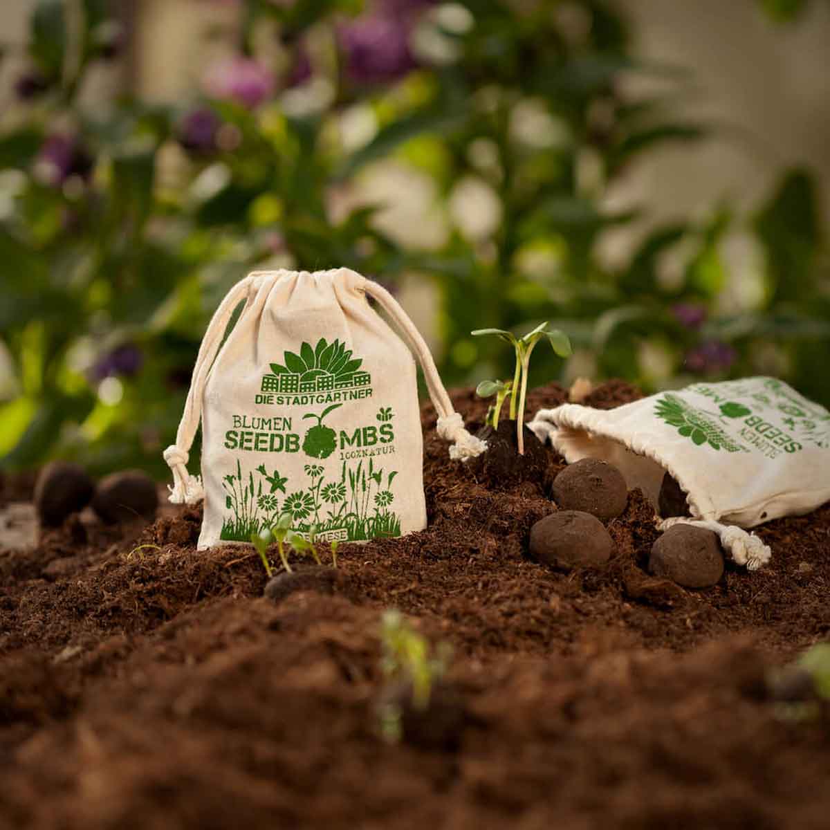 DSG-Seedbombs-Wildewiese_02