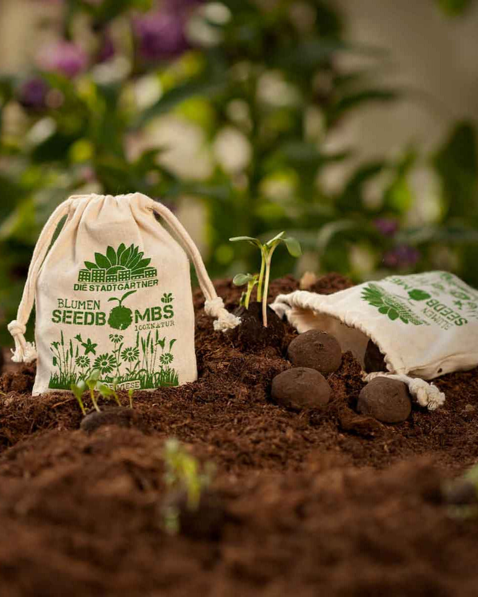 DSG-Seedbombs-Wildewiese_02
