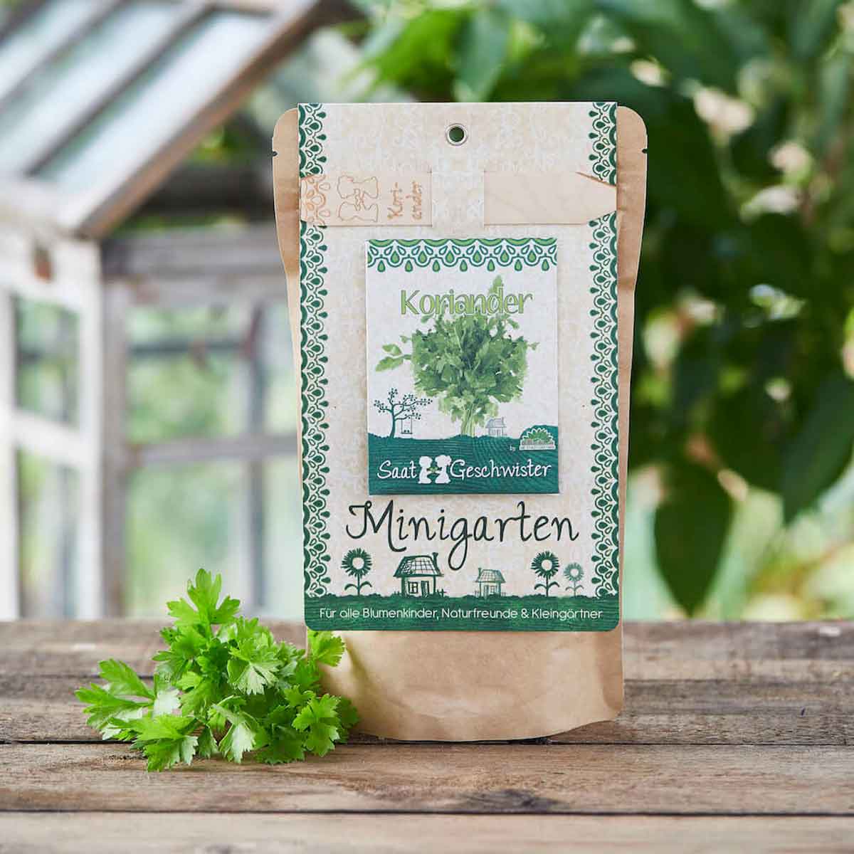 DSG-koriander-Minigarten-02