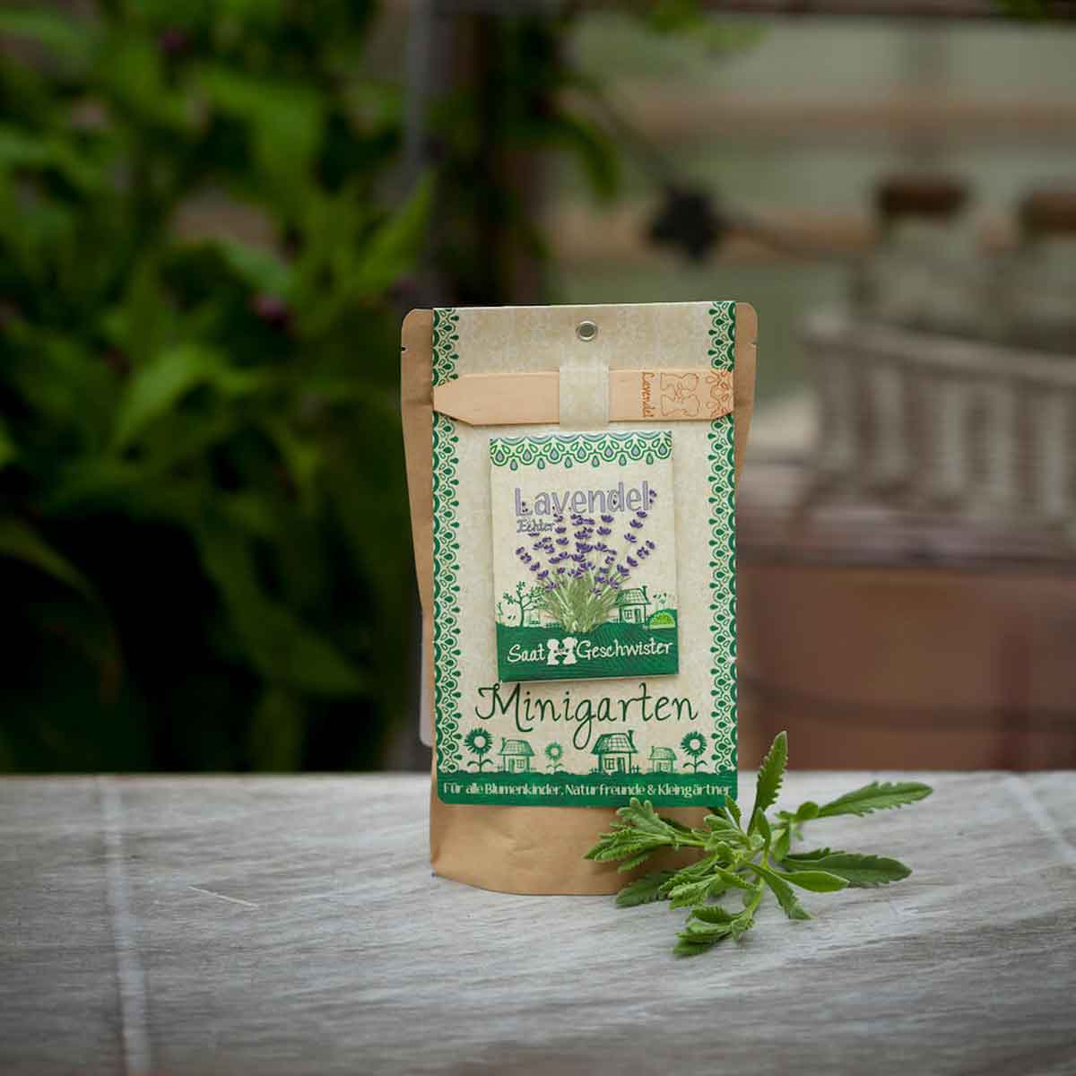 DSG-lavendel-Minigarten-093