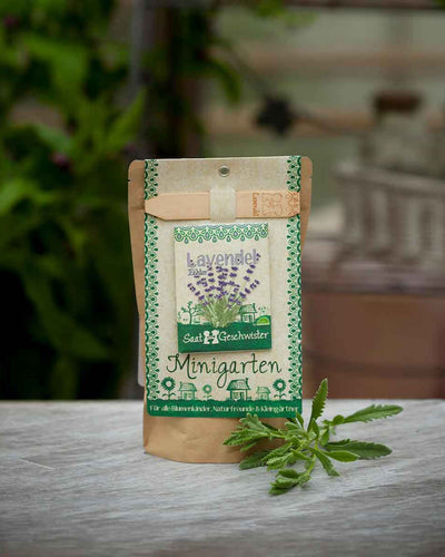 DSG-lavendel-Minigarten-093