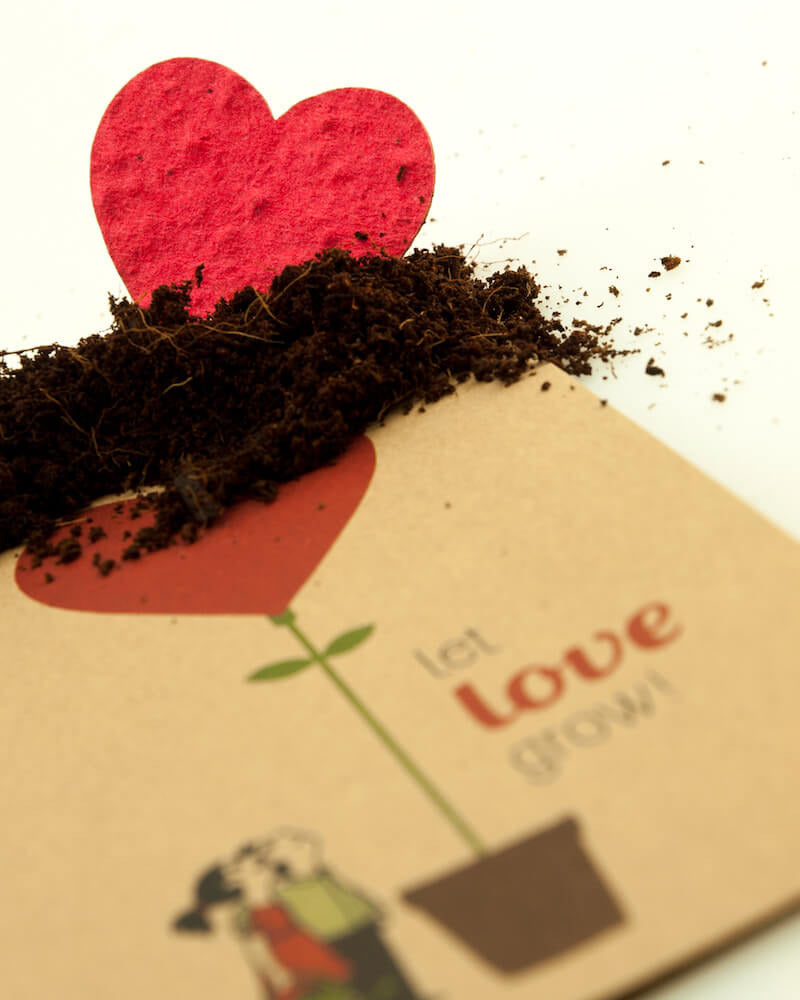 DSG-letlovegrow-grusskarte-LQ4