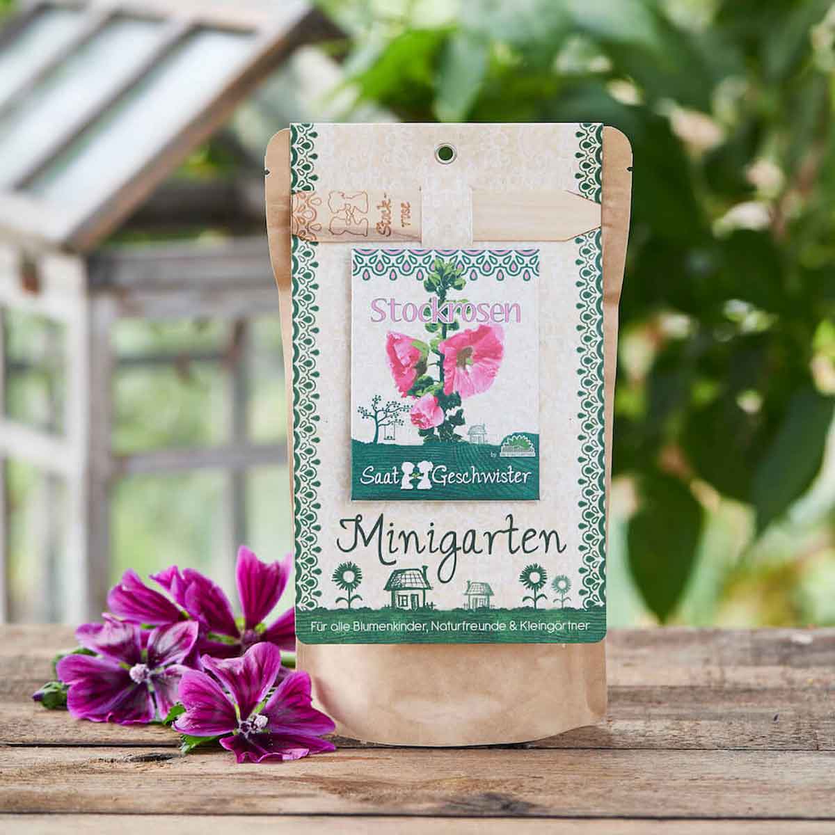 DSG-stockrose-Minigarten-03