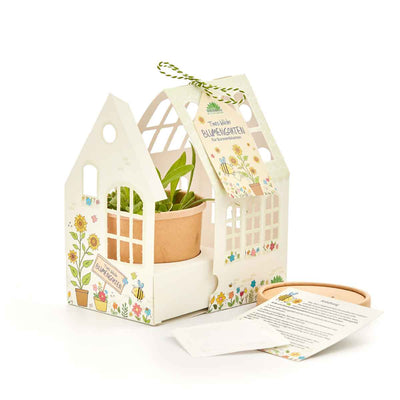 Ellas Limo-Garten Gewächshäuschen DIY Kinder Anzuchtset