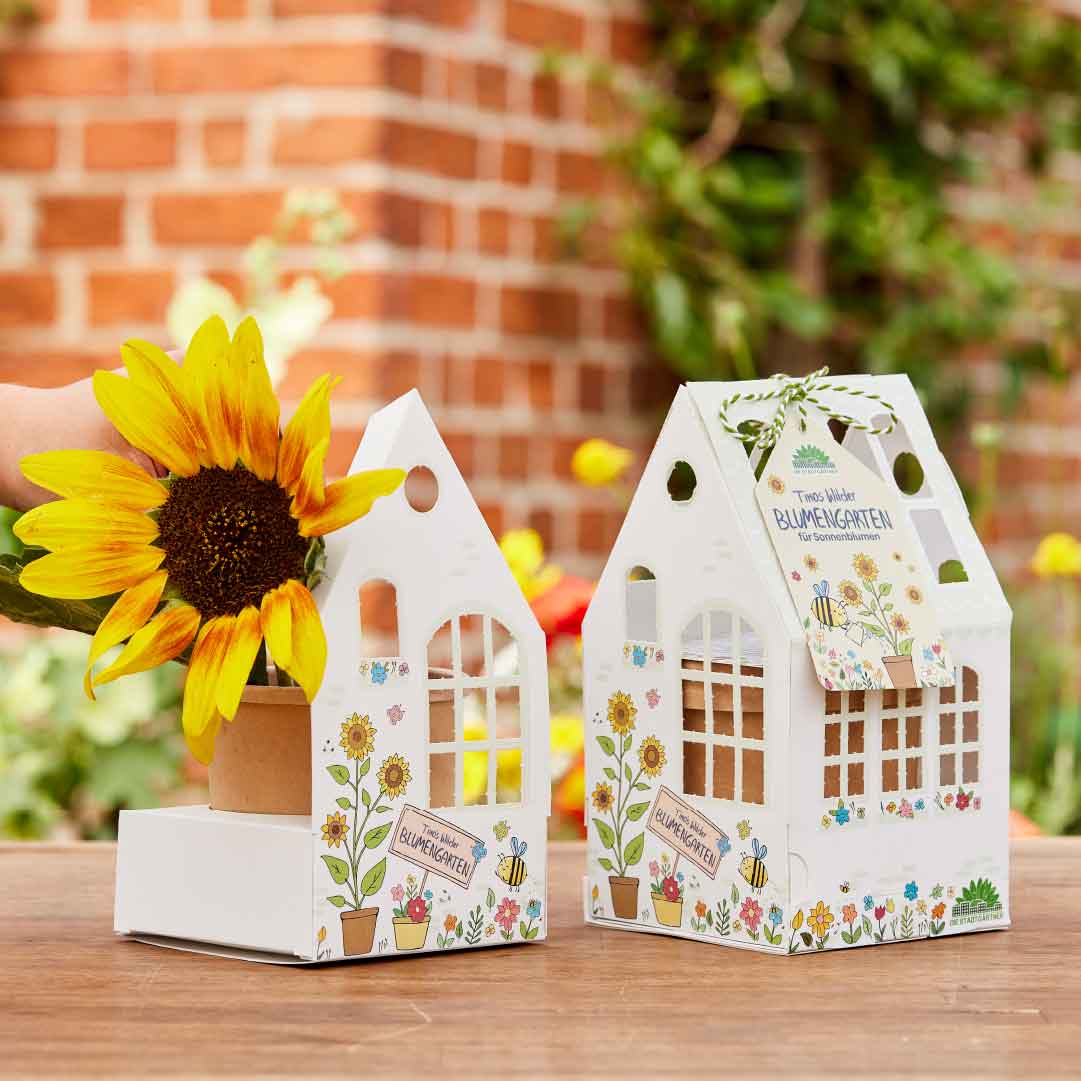 Timos Sonnenblumen Gewächshäuschen DIY Kinder Anzuchtset