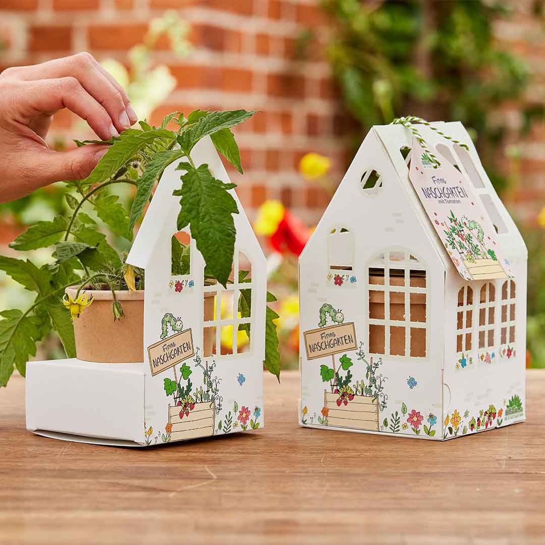Finns Tomaten Gewächshäuschen DIY Kinder Anzuchtset