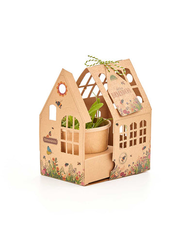 Bieneninsel Wildblumen Gewächshäuschen DIY Kinder Anzuchtset