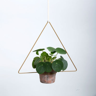 DraadZaken_planthanger_trigona_dreieck_gold_1