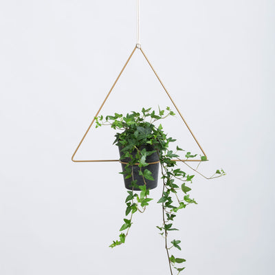 DraadZaken_planthanger_trigona_dreieck_schwarz_2