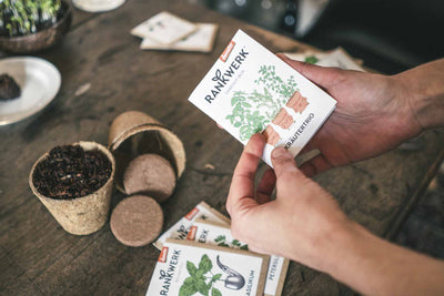 Rankwerk_saatgut_box_kraeuter_trio_03