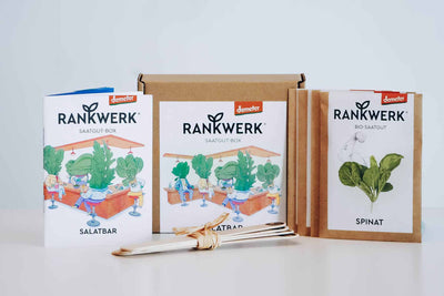 Rankwerk_saatgut_box_salat_02