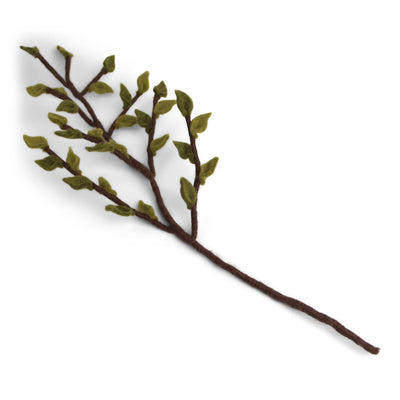 engrysif_12912_blatterzweig_filzblume_01