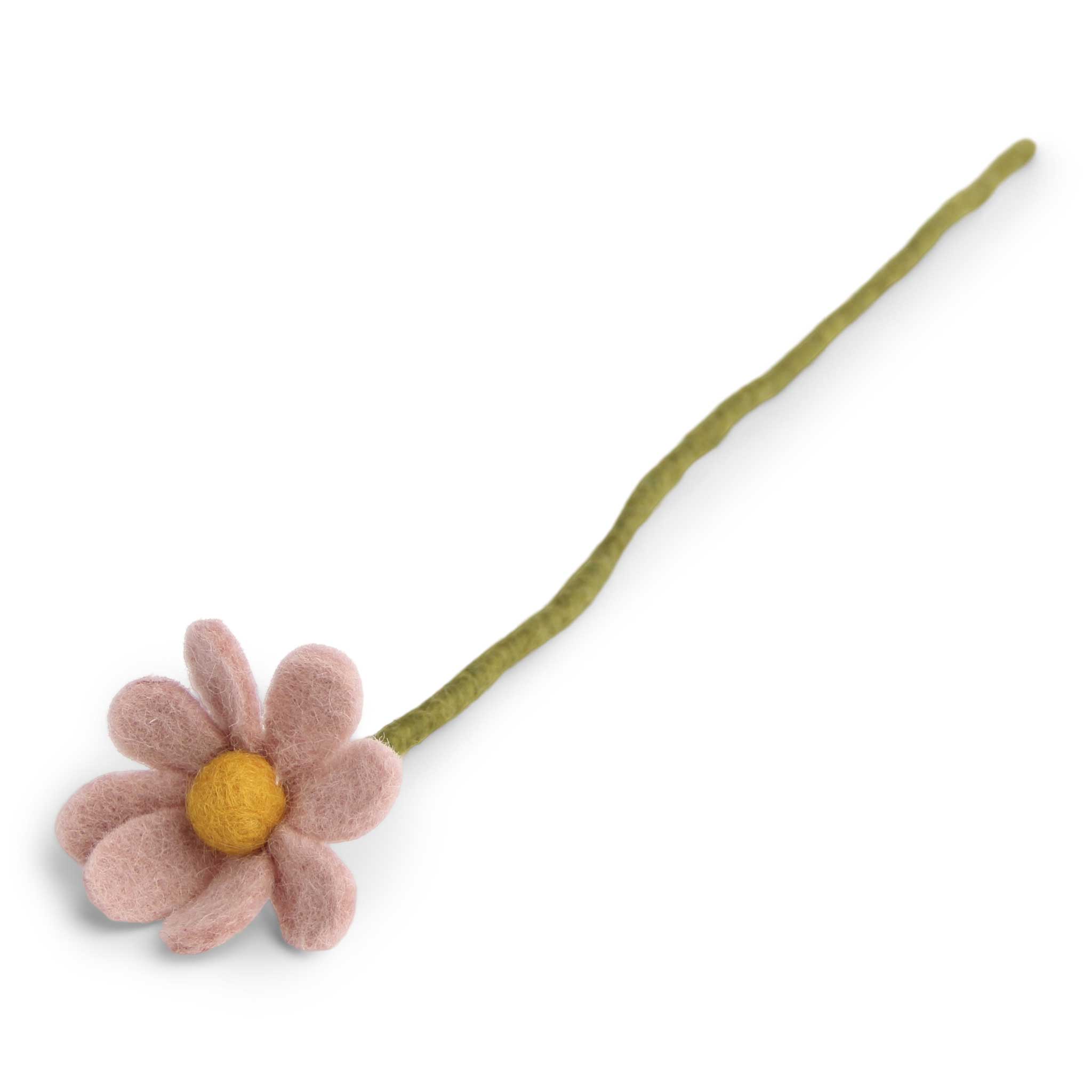 engrysif_13312_anemone_01