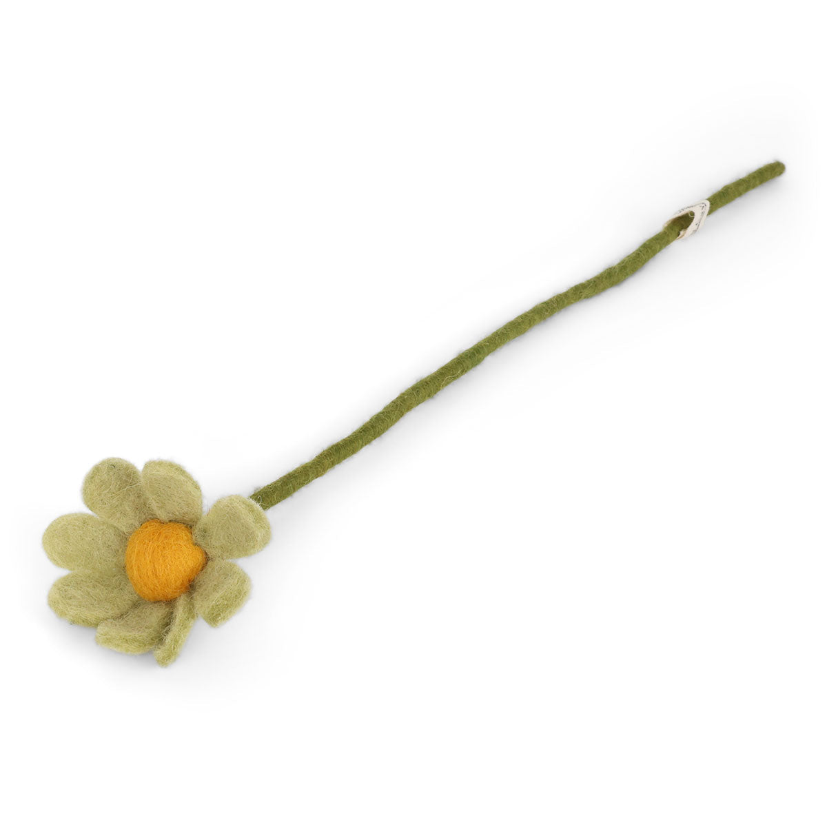 engrysif_13312_anemone_01