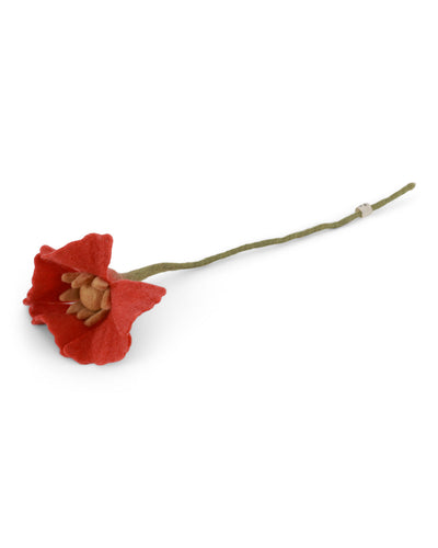 mohn_filzblume_dunkelrot_grysif_18416_01