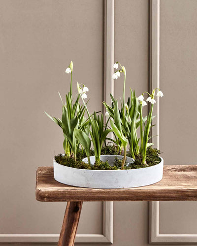 Dekoschale The Ring Beton Optik Grau 35 cm