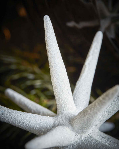 Housedoctor_Stern_Baumschmuck_206920515_01