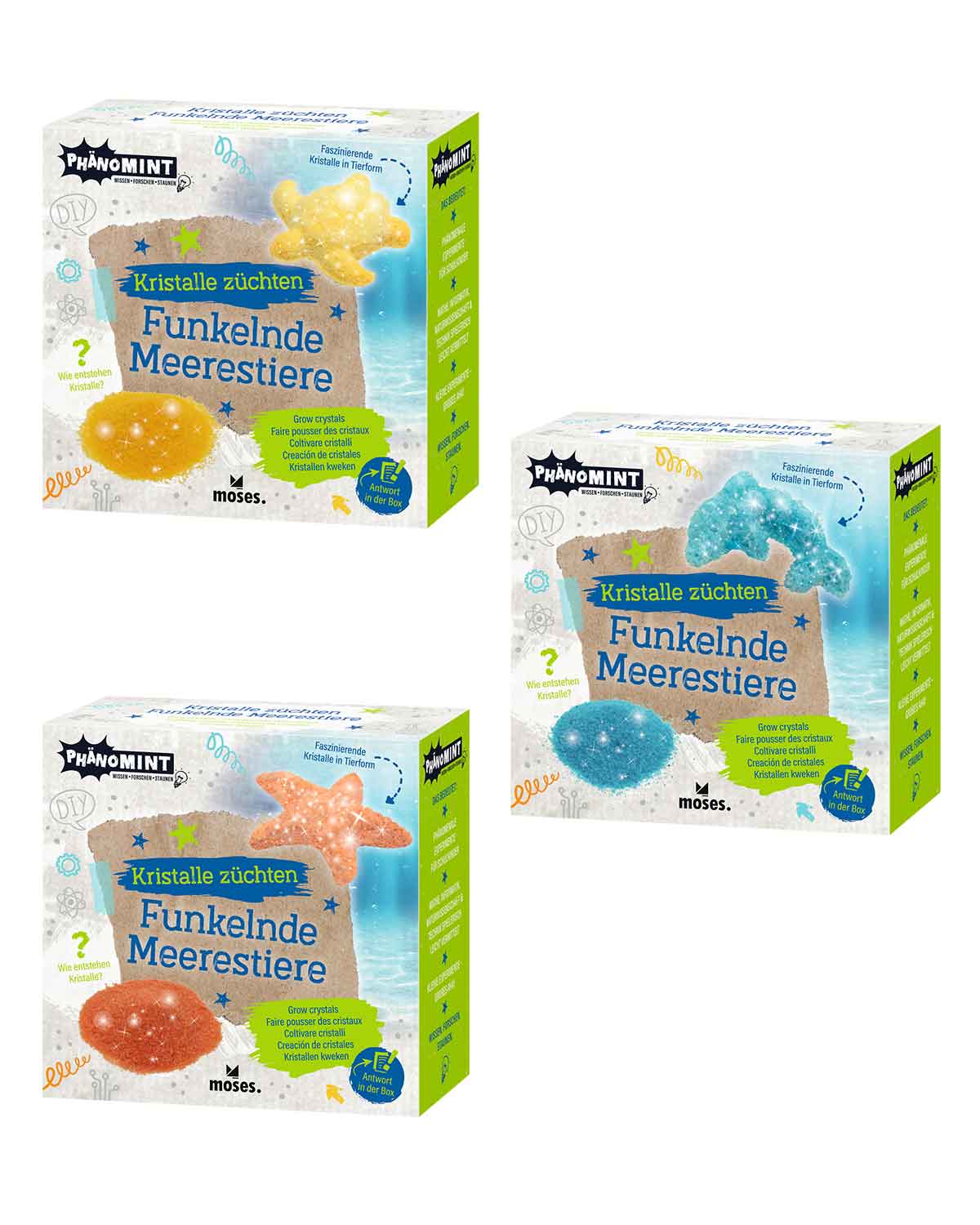 PhänoMINT Funkel. Kristalltiere züchten