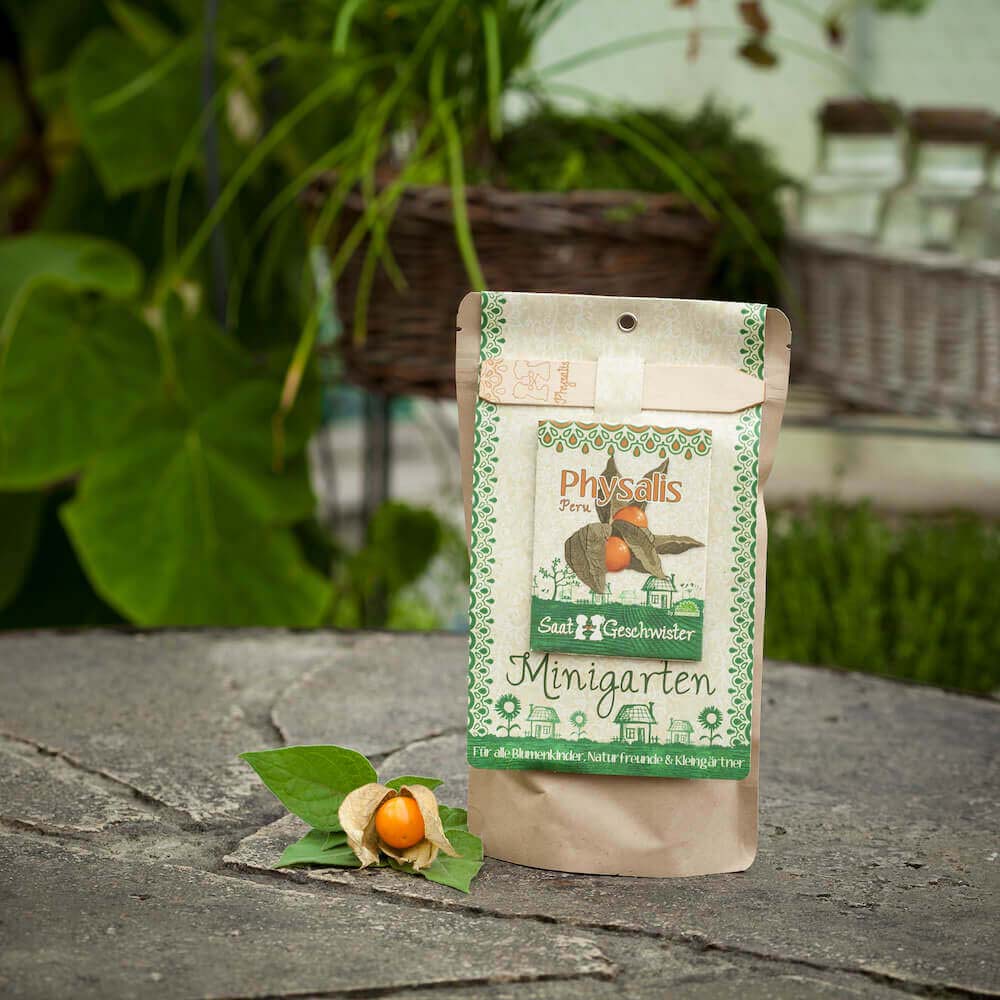 stadtgaertner_minigarten_physalis
