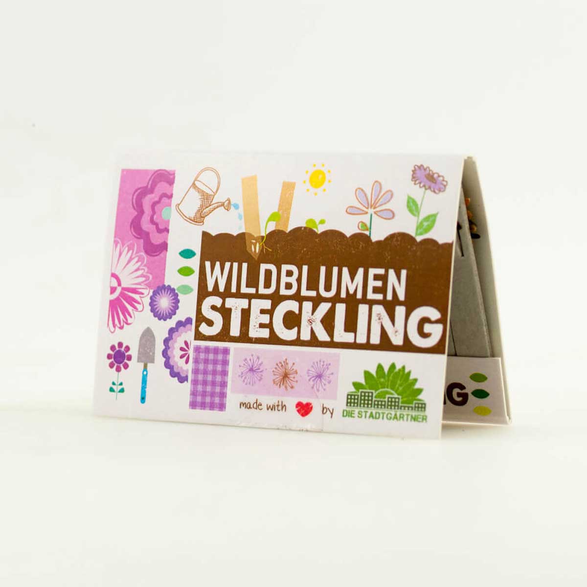DSG-Stecklinge-Wildblume-01